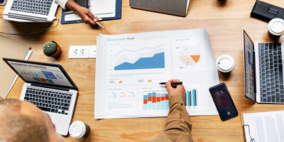 Program Monitoring and Evaluation Professional